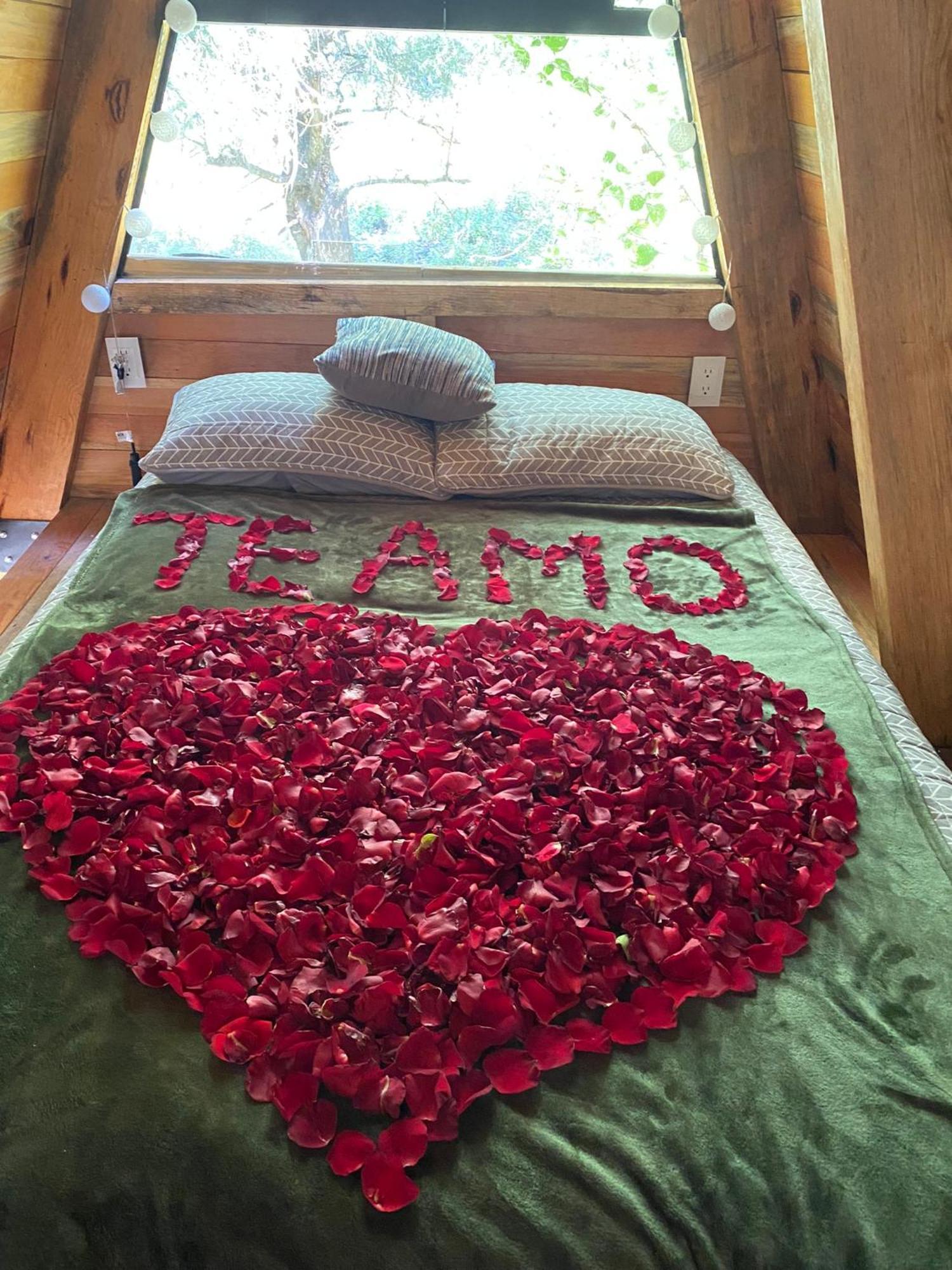 Cabanas Alpina, Romantica Y Acogedora A 10 Minutos Del Centro Tepoztlan Luaran gambar