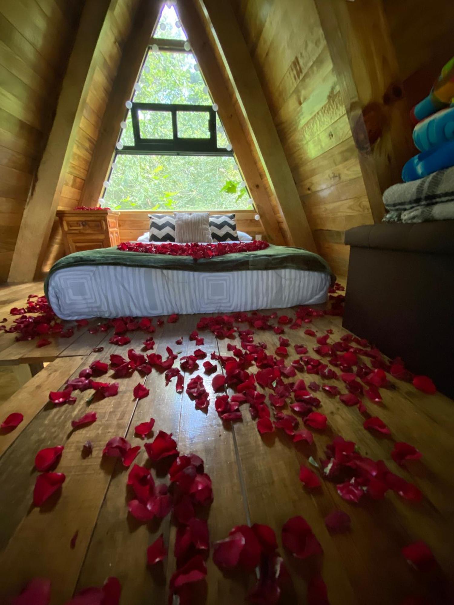 Cabanas Alpina, Romantica Y Acogedora A 10 Minutos Del Centro Tepoztlan Luaran gambar