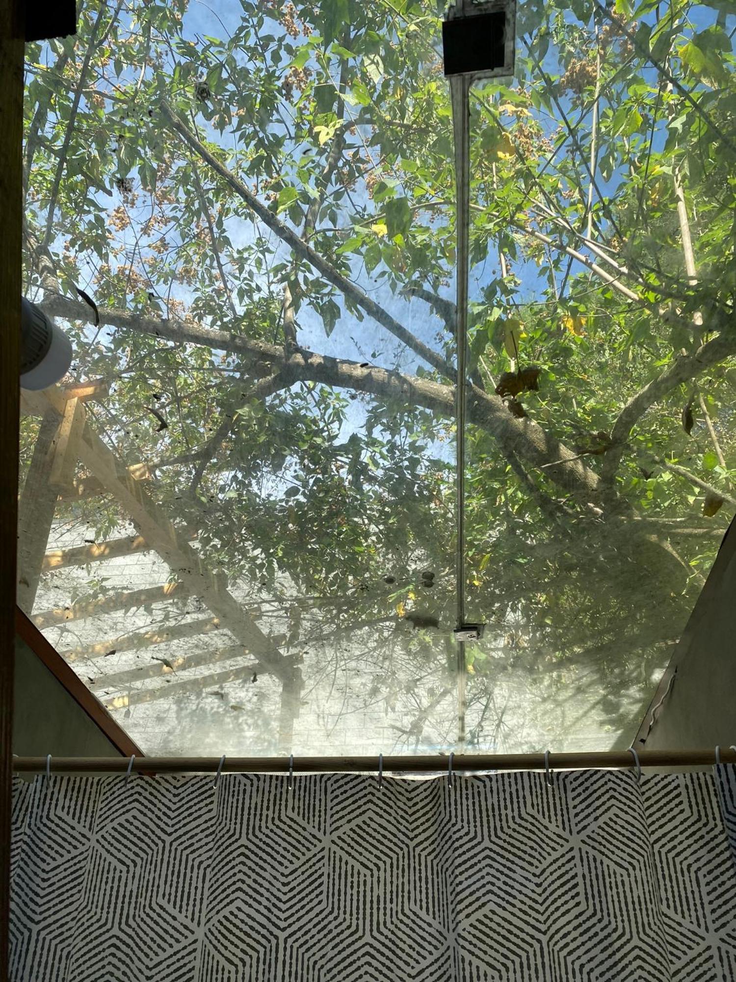 Cabanas Alpina, Romantica Y Acogedora A 10 Minutos Del Centro Tepoztlan Luaran gambar