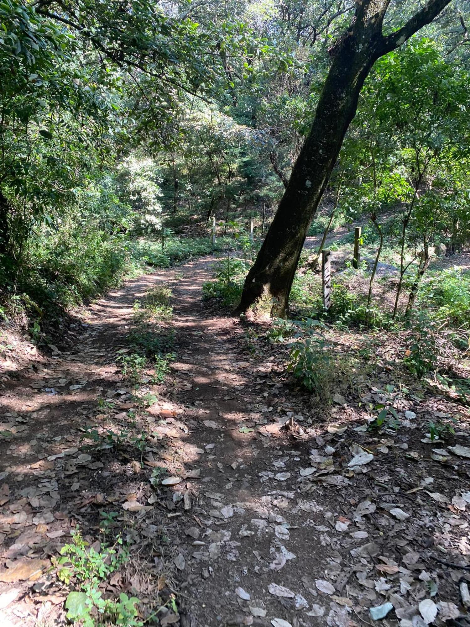 Cabanas Alpina, Romantica Y Acogedora A 10 Minutos Del Centro Tepoztlan Luaran gambar